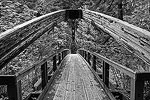 Footbridge in the Cascade Mountains.