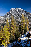 Mt. Stewart and golden Larch trees on a clear Fall afternoon in the Cascade Mountains.