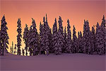 Sunset in the Cascade Mountains after a storm left a blanket of fresh snow.
