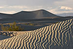 Warm evening light on the Mesquite Sand Dunes.  Death Valley National Park, CA.