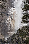 Ice forming on the granite surrounding Lower Yosemite Falls on a cold January morning.  Yosemite National Park, CA.
