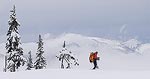 Backcountry skiing in the Cascade Mountains.